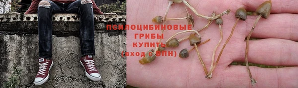 ECSTASY Кукмор