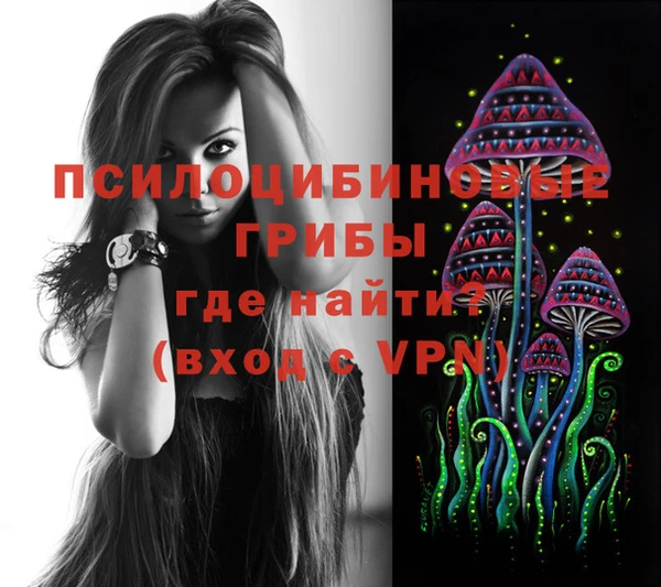 ECSTASY Кукмор