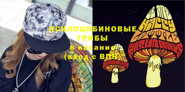 PSILOCYBIN Ладушкин