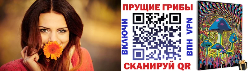 продажа наркотиков  Новочеркасск  Галлюциногенные грибы Psilocybine cubensis 