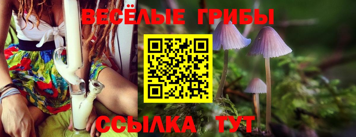 Псилоцибиновые грибы прущие грибы Новочеркасск