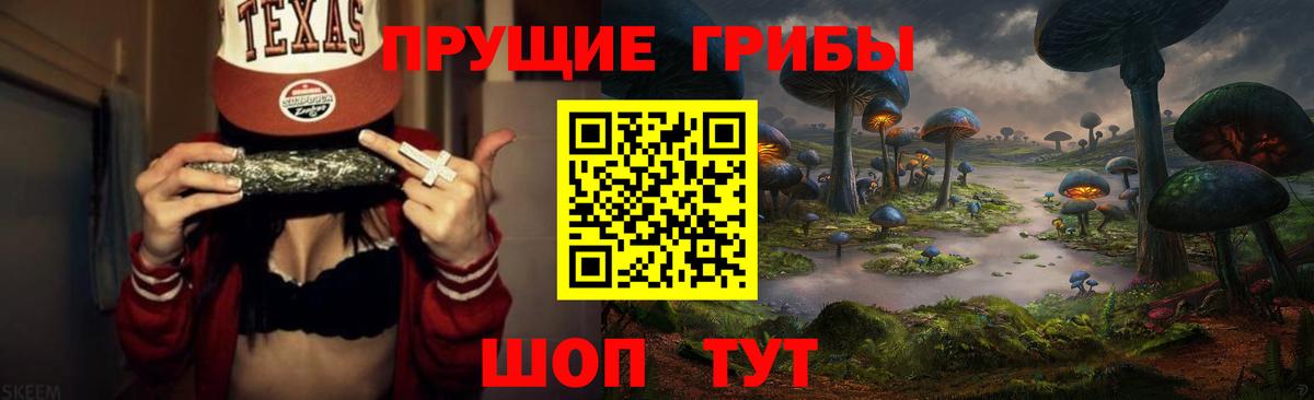 Галлюциногенные грибы Magic Shrooms  Вход с VPN  Новочеркасск  Галлюциногенные грибы мицелий 
